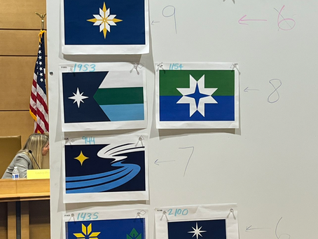 Minnesota Replacing State Flag For one Not "Racist"; 6 Contenders