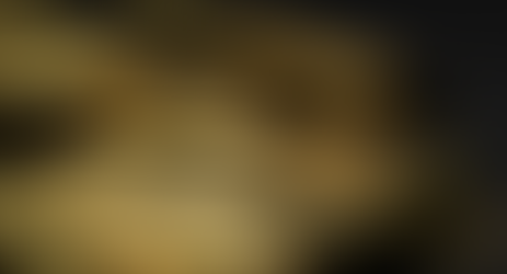 TX Senate Considers Digital Coin Backed by Texas Gold