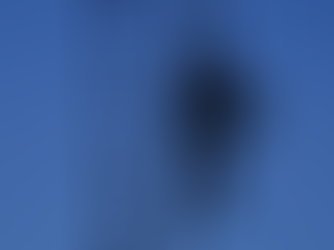 Bishop Barron: Most Disturbing Thing He's Seen on MSNBC