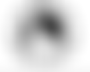 Idaho Now Requires Citizenship Status Verification to Vote, Cleaning Rolls Ahead of Election