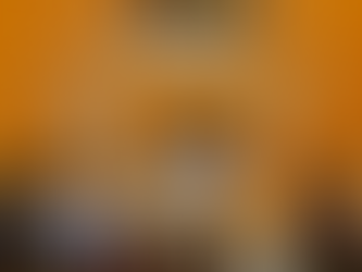 Contesting of Harris County Elections Could Move to Fall-or LATER