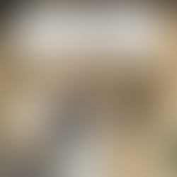 New Construction Series, Part 1: Building Criteria & Builder Types