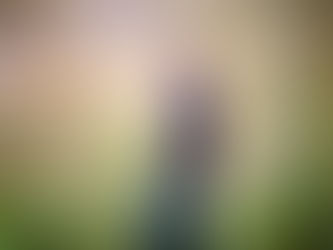 I'm going to start when..