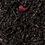 Thumbnail: Black Tea Cherry Fairy