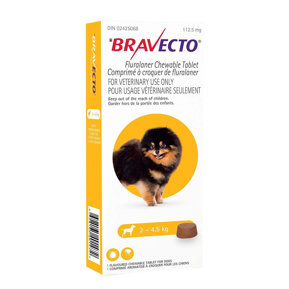Thumbnail: Bravecto Chewable Tablet 💊