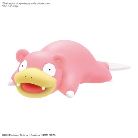SLOWPOKE model kit