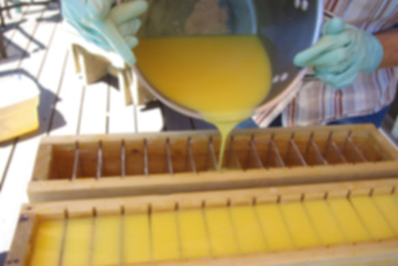 Moisturizing Goat Milk Soaps