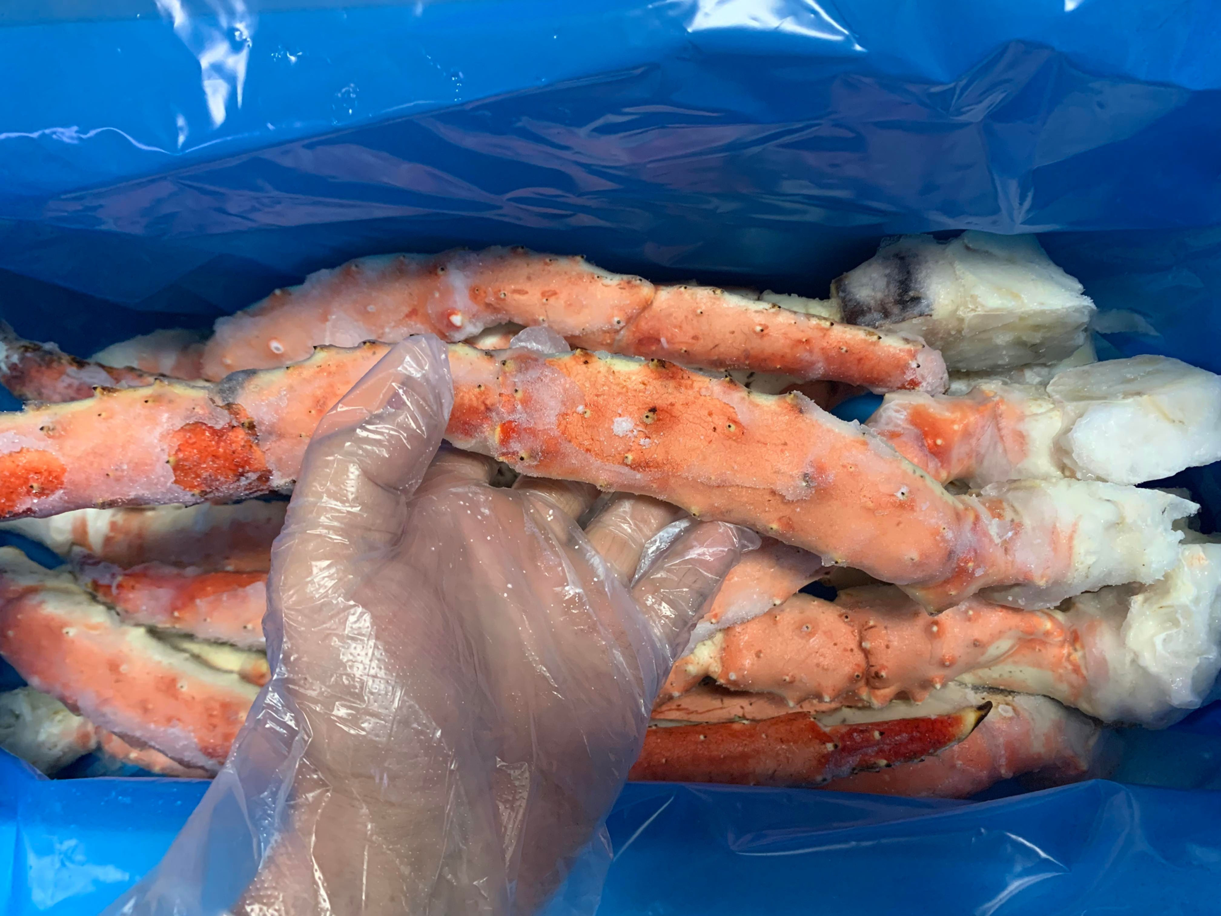 Crabe d'Alaska colossale