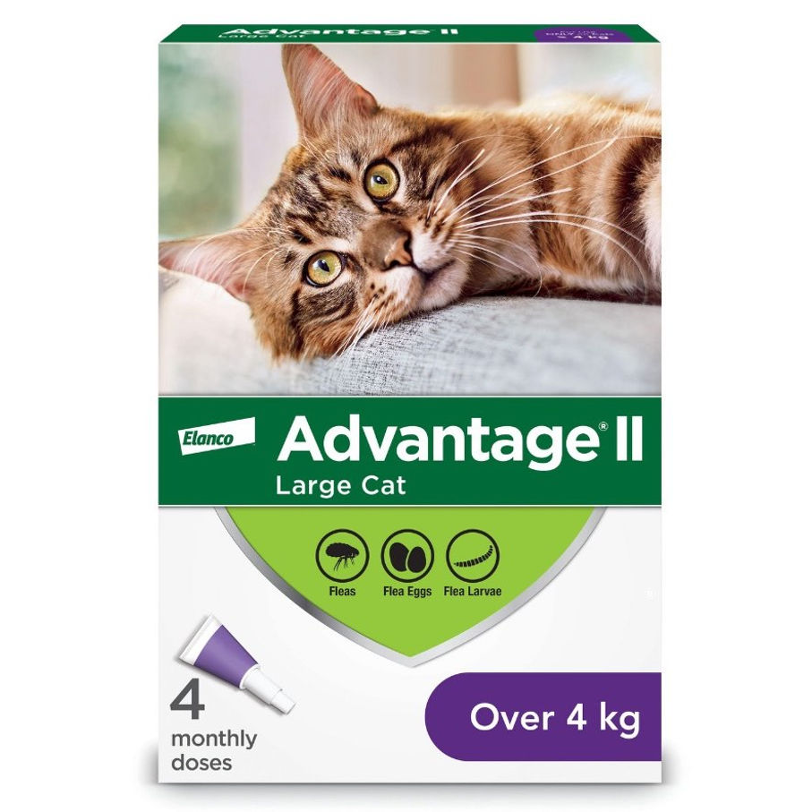Thumbnail: Advantage II