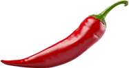 WEB (4) 4.png
