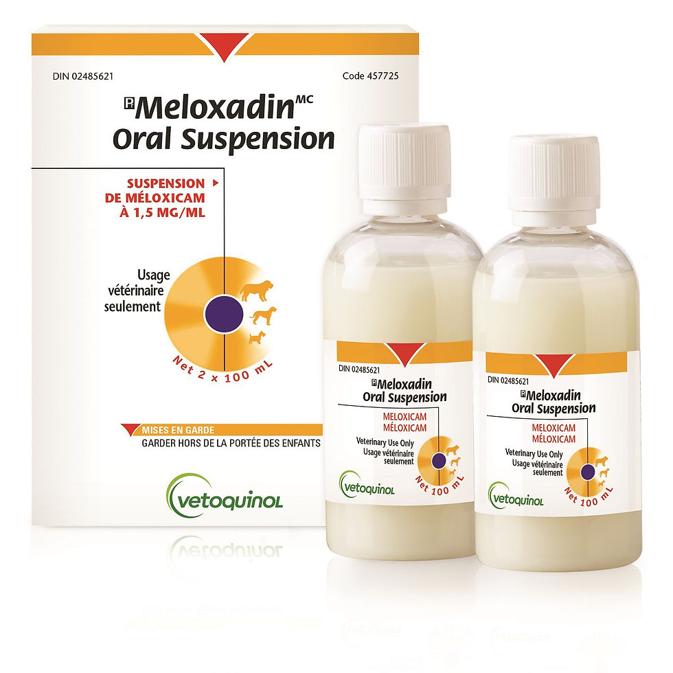 Thumbnail: Meloxadin Oral Suspension 💊