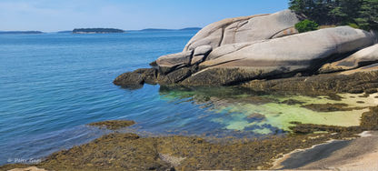Maine,  Maine Coast, Islands, Sea Kayakers,  Kayaking, Naskeag Point,  Eggemoggin Reach, Deer isle