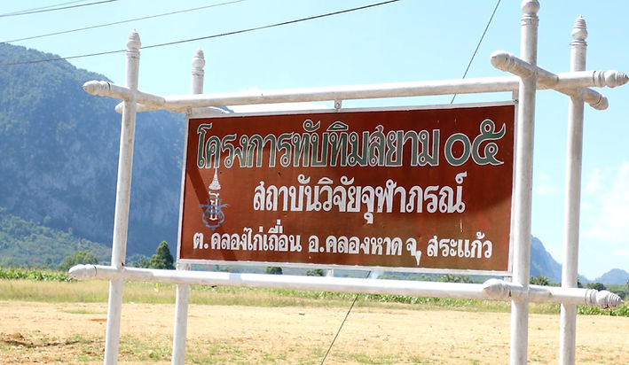 41432143.jpg