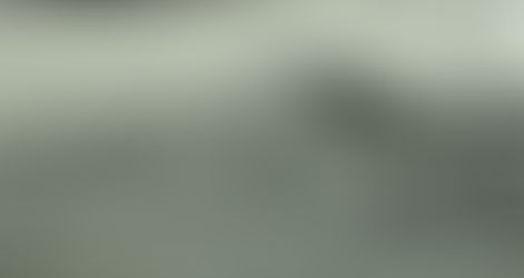 ANTÔNIO LUIZ SALGUEIRO