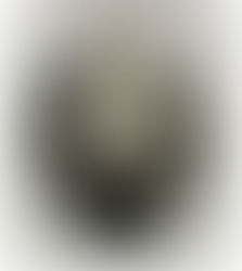 ANTÔNIO CUSTÓDIO BRAGA