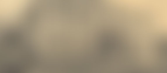 ANTÔNIO AUGUSTO RIBEIRO DA PAIXÃO