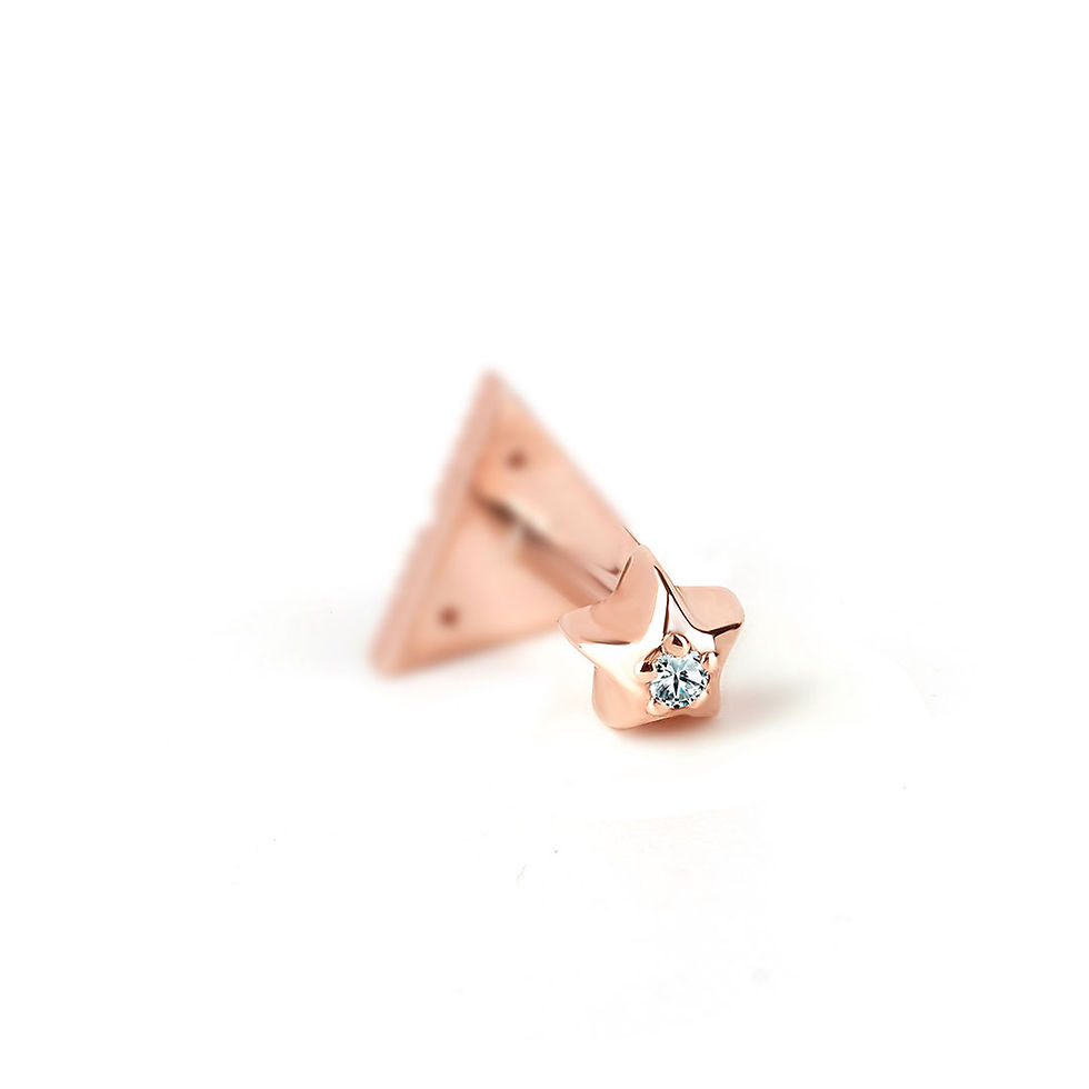 Küçük resim: Sky Pırlantalı Piercing