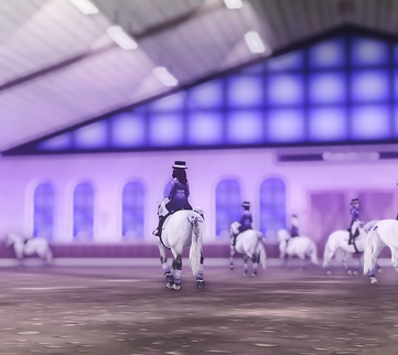 StarStable_2024-08-28_19-30-01.png
