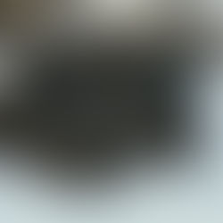 Winter Partridges — a Haiku