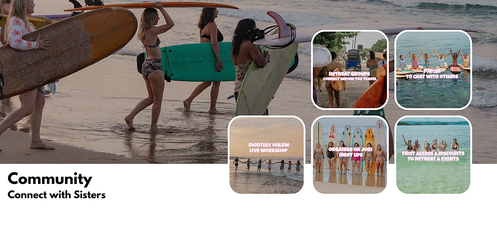 website banner -3.png