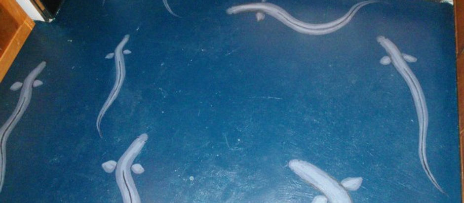 EELS on Radio New Zealand!