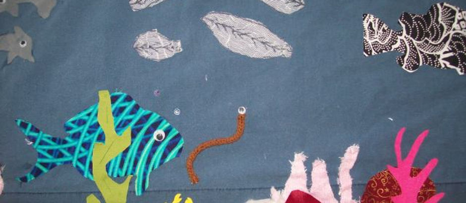 KCC in South Canterbury Reveal their Lively Addition