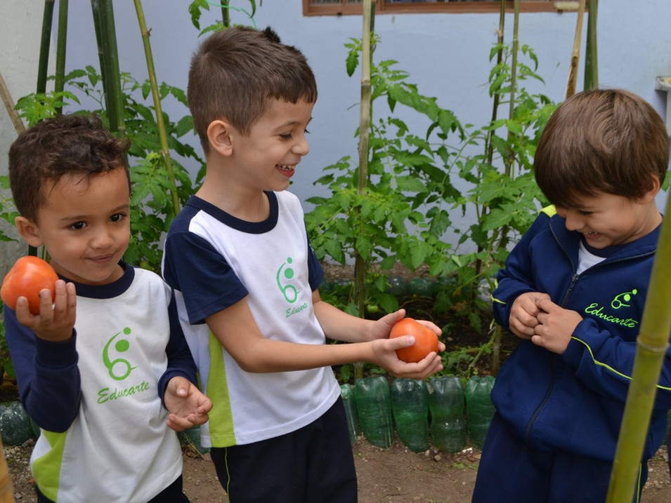 Educação Ambiental