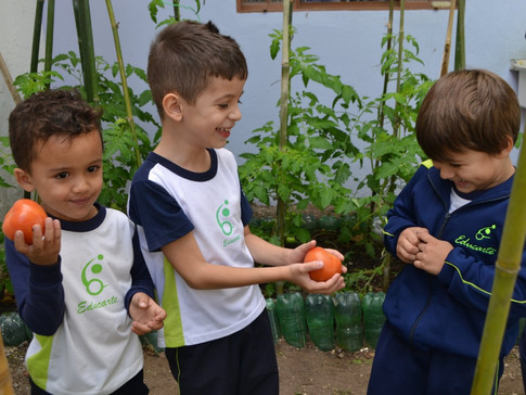Educação Ambiental