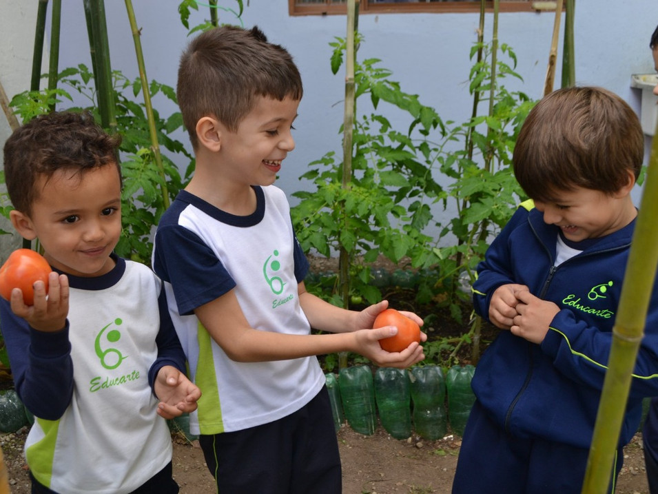 Educação Ambiental