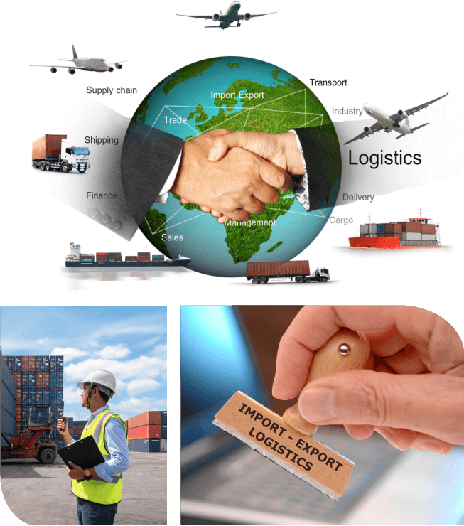 SNQ Global Logistics – Kết nối hàng hóa Việt Nam với thị trường toàn cầu