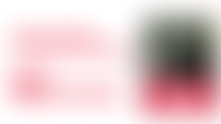 Triunfo Transbrasiliana lança campanha de preservação da fauna silvestre