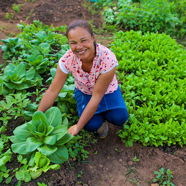 Instituto Solea Acreditar