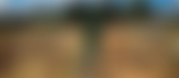 Em 2020, 776 crianças indígenas morreram de causas evitáveis