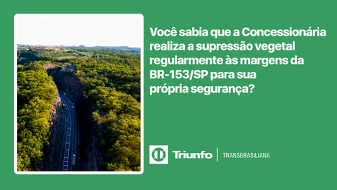 Você sabia que a Concessionária realiza a supressão vegetal regularmente às margens da BR-153/SP?
