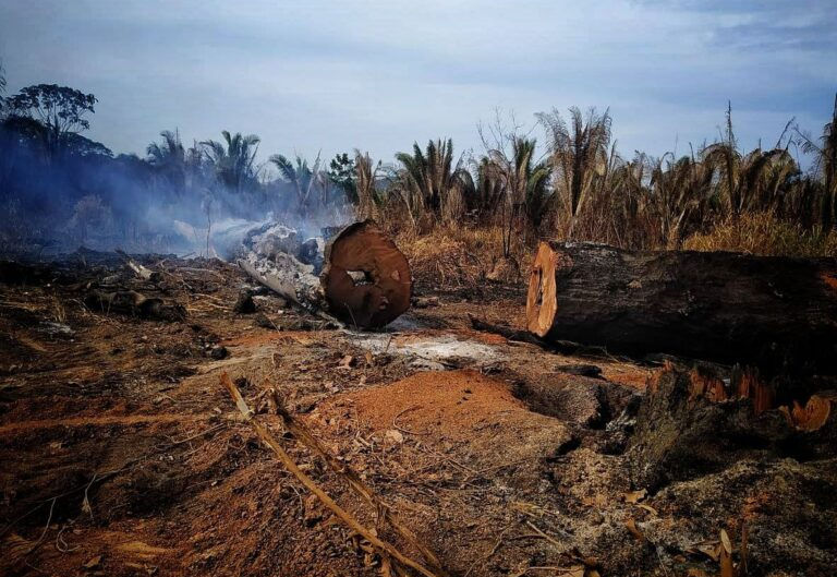 Fogo é usado como arma de expulsão de povos e comunidades