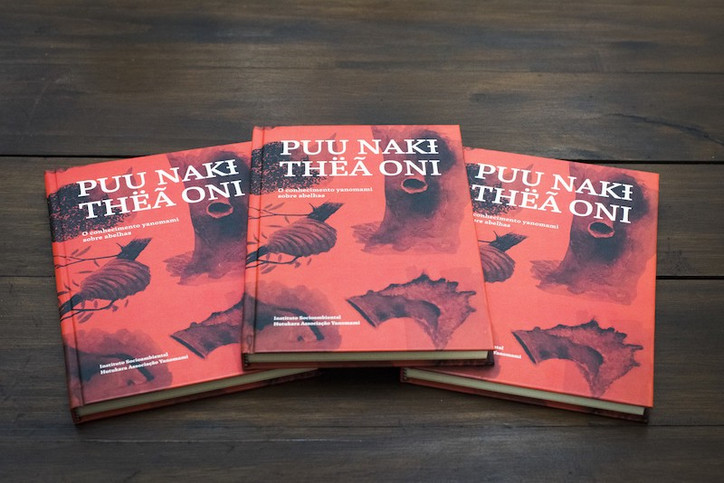 Jovens Yanomami transmitem em livro conhecimento sobre abelhas