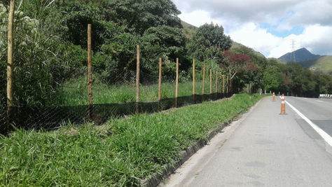Concer amplia cercas de proteção à fauna silvestre