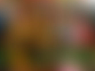 SEMANA FAVELA EMPREENDEDORA