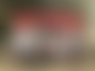 Festa de Natal do Lar Santa Catarina