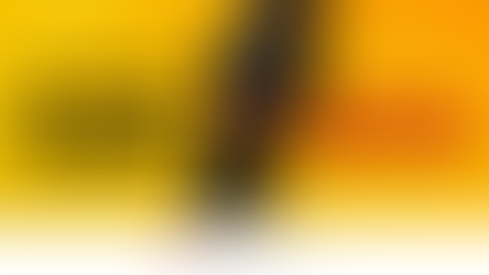 Triunfo Transbrasiliana reforça a importância do uso do cinto de segurança por motoristas e passageiros