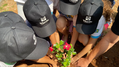 Triunfo Transbrasiliana e entidades parcerias vão fazer o plantio de mudas em Lins