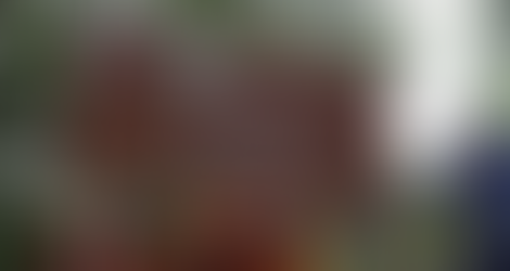 Placas na rodovia valorizam existência do Refúgio de Vida Silvestre da Serra da Estrela