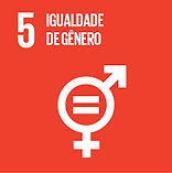 ODS 5 - Igualdade de Gênero.png