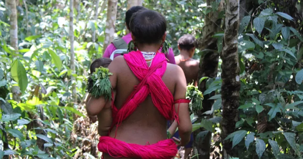 indigena Yanomami