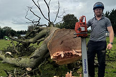 arborist standing beside a felled tree