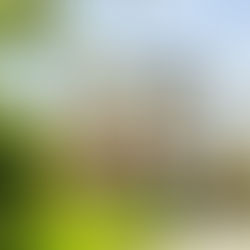 48 Silverwood, Mountmellick, Co. Laois