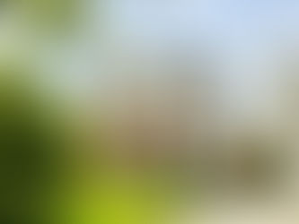 48 Silverwood, Mountmellick, Co. Laois