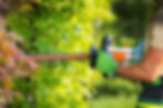 Garden Maintenance & Tree Care Services | Bushlands | Galway.