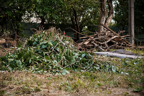 Garden Clearance