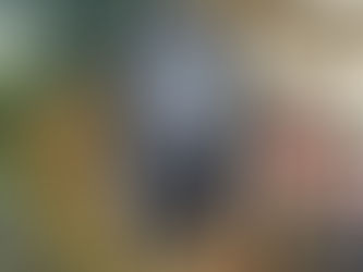 EV-Friendly Accommodation in Wexford: Charging Made Easy at Captiva Wexford